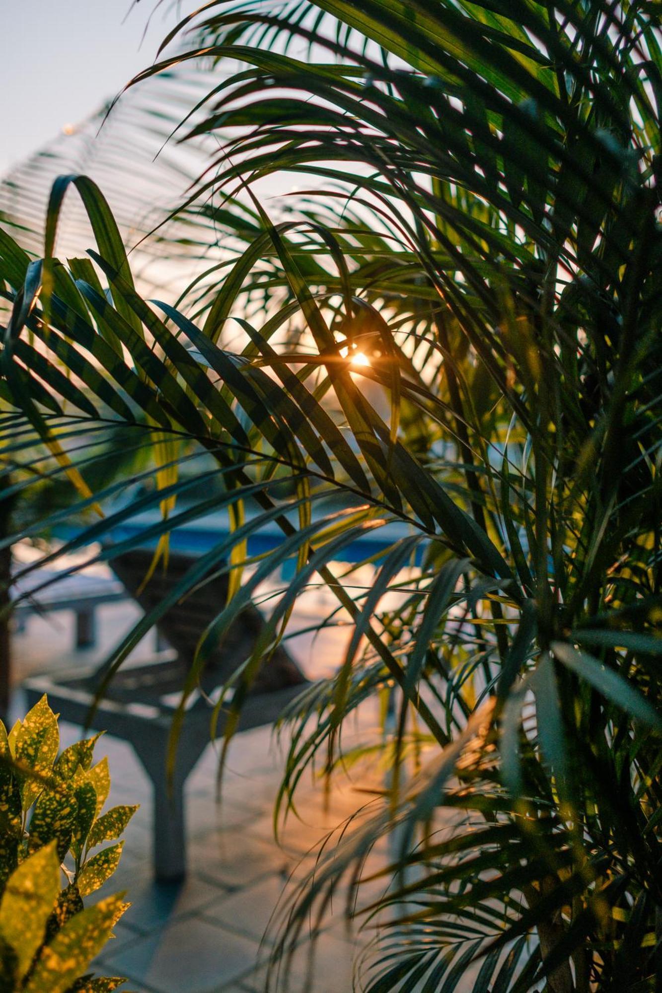 Hotel Parkside & Swimming Pool-Between Greenery And Azure ,Your Perfect Retreat צ'יטוואן מראה חיצוני תמונה